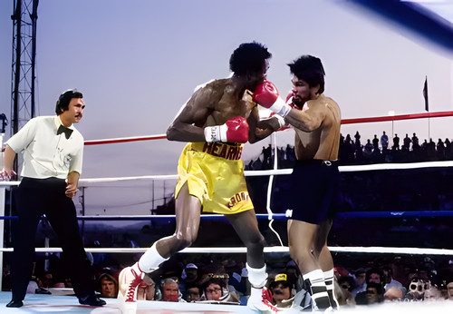 Thomas hearns boxing fights - boxing,